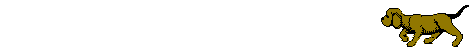 laufend_0015