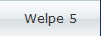 Welpe 5
