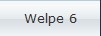 Welpe 6